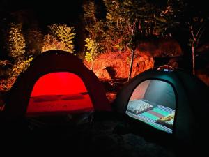 Cindrella Sky Nest Camp Ella