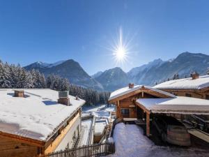 Chalet near Ski Lift with Garden