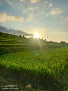 Pondok Pengaringan Loon