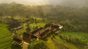 Devani Resort Sidemen