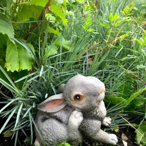 Полярис Polyaris