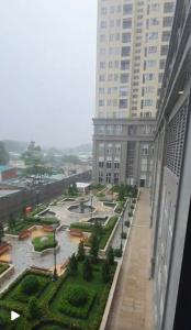 SAIGON MIA STUDIO FAMYLY suite