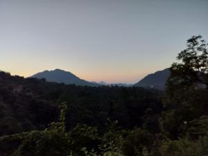 Shri Rudra Home Stay - Triple Bed, Rooms