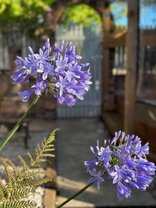 The Old Wilmot Bakehouse