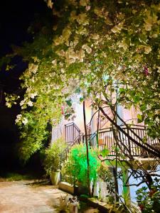 Flower Shade Villa