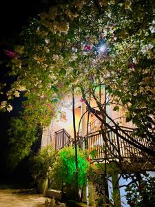 Flower Shade Villa