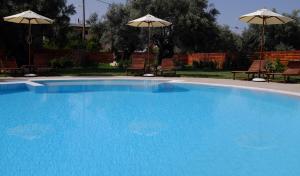 Kamares Luxury Apartments Lefkada Greece