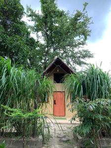 Thori jungle Resort , Chitwan National Park