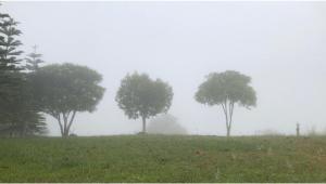 Hangout Khaokho รีสอร์ต