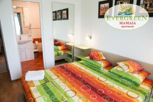 Evergreen Vlas Mamaia Sud