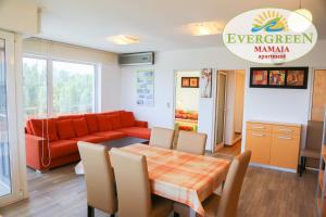 Evergreen Vlas Mamaia Sud