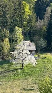 Schreinerhütte für 4 Personen