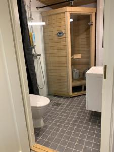 Centrum studio with sauna, Levi