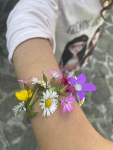 Pension Casa del Sol Predeal