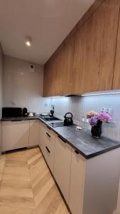 Smart Apart 8 - Apartament Kielce, rynek, main square, centrum, targi, FV