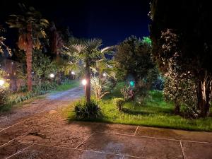 Nel giardino segreto