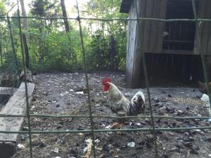 La maison de caroline