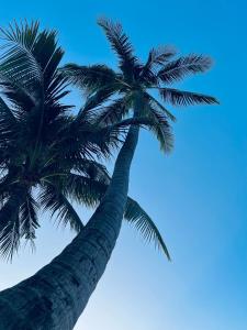 Green Wood Park Cottage Samui, Bangrak Beach