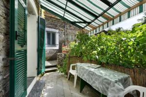 VECCHIO MULINO FONTONA Ortensia