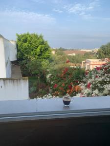 Appartement 1 chambre spacieuse vue panoramique