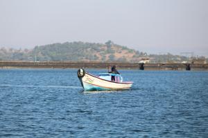 Traholic Camping Bhandardara