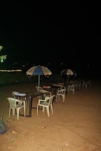 Traholic Camping Bhandardara