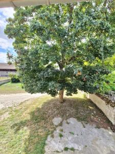 Joli Appartement cosy