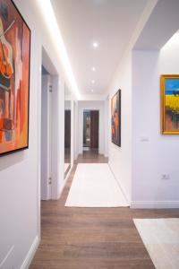 Luxury Hill Apartment