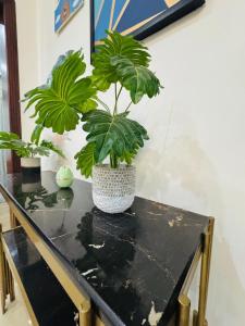 Overseas home