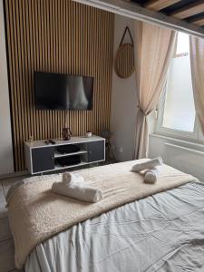 T1 bis proche Technhom