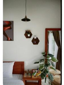 Cloudy Mountain Premium