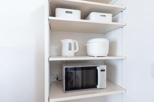 Direct to Asakusa Ginza & NRT HND 2025 New House