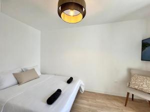 Superbe T3 à 15 min de Lyon