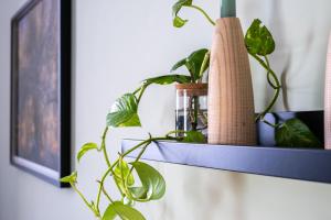 Aquaviva Suite Verde