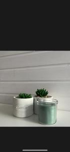 Studio niedaleko Manufaktury