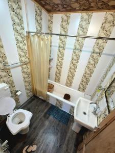 Houseboat Young Life