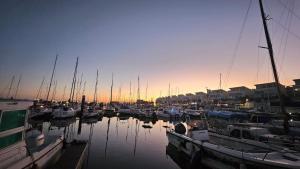 Lisbon Boat Speedboat O Thor