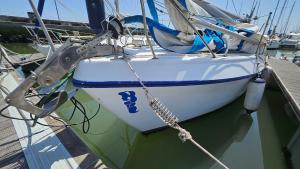 Lisbon Romantic Boat Expo