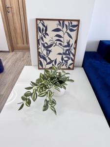 Apartament Fortress View