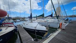 Lisbon Classic Boat 25 Belém