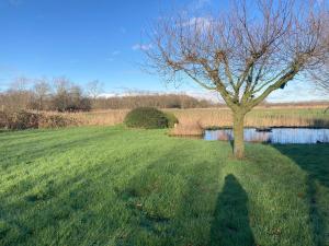 Vakantiewoning Moervos - in Damme tussen Knokke en Brugge