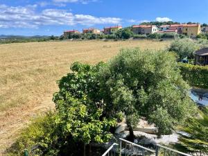 Villa Oleandri DOgoz
