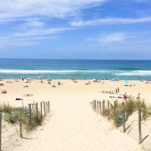 Cap Ferret Centre