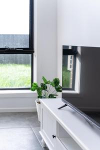 Haven Home Indio Berwick