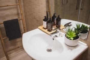 Beach Front Flat With Ocean View