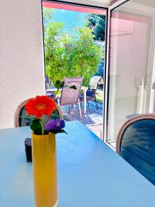 Ruhe & Erholung im Grünen! Mediterranes Landhaus-Apartment mit Jacuzzi für bis zu 4 Personen