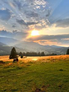 Лісова садиба