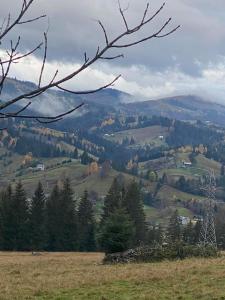 Лісова садиба