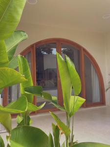 Namal Resort - Free scooter and Gym access