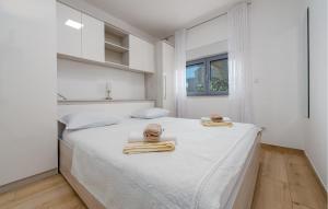 Stunning Apartment In Kozino With Wifi 